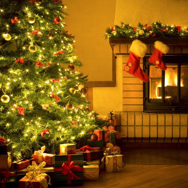 Lepro Guirlande Lumineuse 10M, 100 LED en Cuivre, Imperméable IP65, Lumière Etoilée, Blanc Chaud, pour Décoration Intérieure Extérieure, Jardin, Noël, Anniversaire, Mariage,...